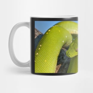 Green Tree Python, Australian Reptile Mug